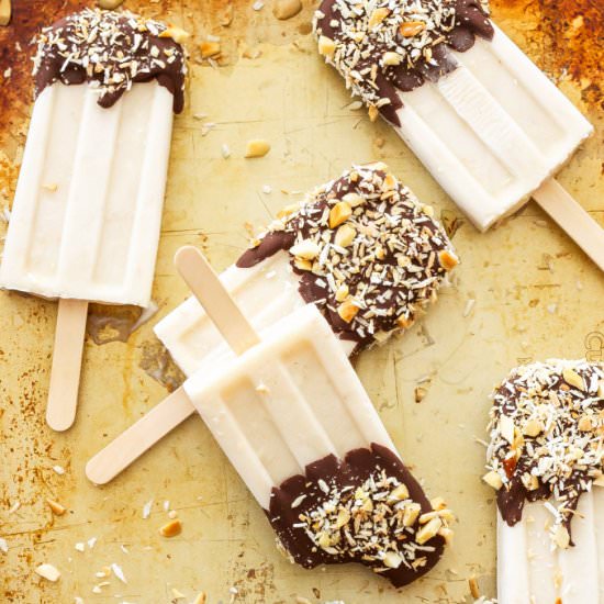 Chocolate Coconut Yogurt Pops - Recipe photo by Recipe Runner