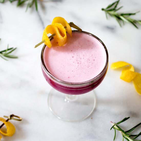 Blueberry Gin Sour Cocktail - Recipe photo by Unusuallylovely