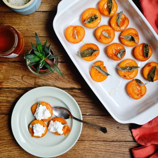 Roasted Apricots + Sage + Honey - Recipe photo by youcaneatnow