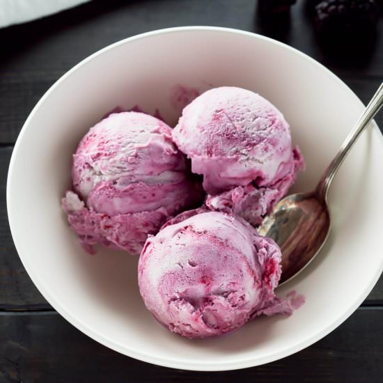Fresh Blackberry Ice Cream - Recipe photo by IntrovertBaker