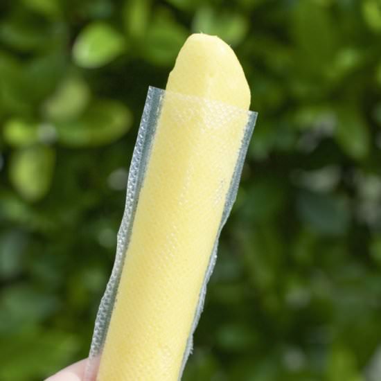 2-Ingredient Mango Popsicles - Recipe photo by Stacey Homemaker