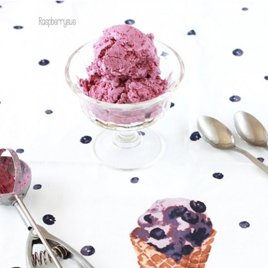 Blueberry Yogurt Ice Cream - Recipe photo by Raspberrysue