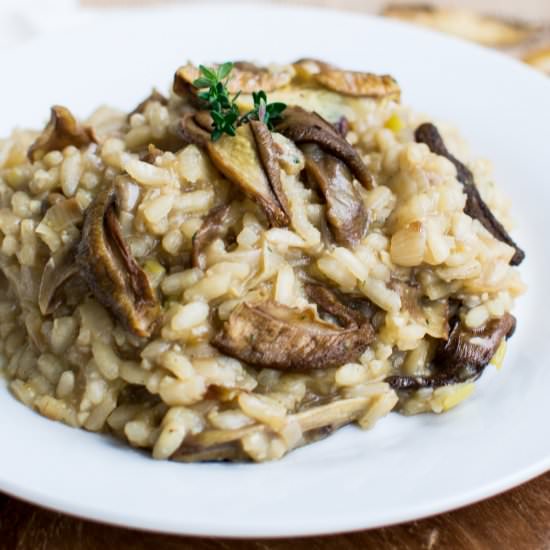 Wild Mushroom and Leek Risotto - Recipe photo by Wellness with Taryn