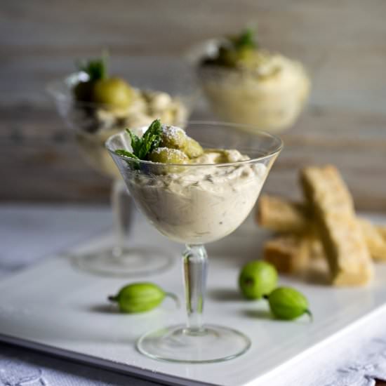 Gooseberry Fool - Recipe photo by MeccaGBC