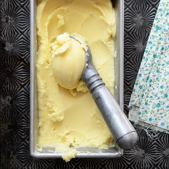 Easy No-Churn Pina Colada Sorbet - Recipe photo by AnEdibleMosaic