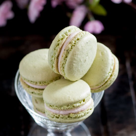 Cherry Matcha Macarons - Recipe photo by GoodieGodmother
