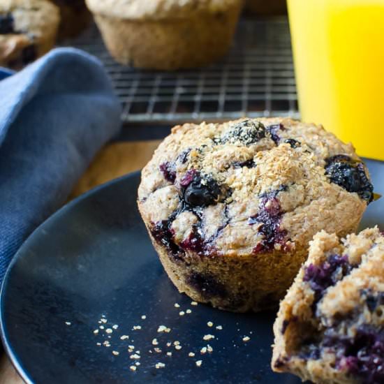 Cinnamon Blueberry Bran Muffins - Recipe photo by garlic and zest