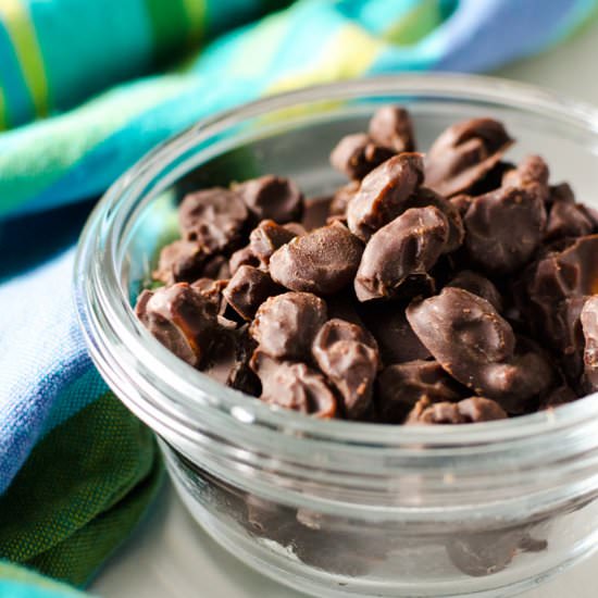 Homemade Chocolate Covered Raisins - Recipe photo by VeggiePrimer