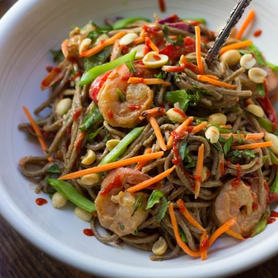 Summer Veggie Soba Noodle Salad - Recipe photo by the_gourmet_RD