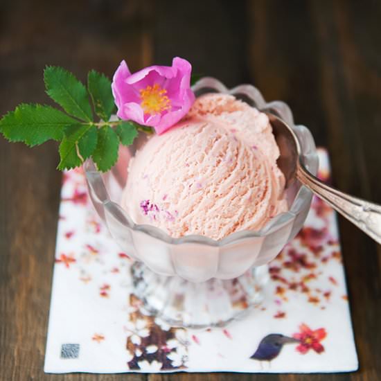 Wild Rose Petal Ice Cream - Recipe photo by kaweah