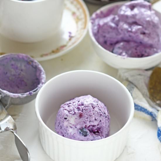Jamun Frozen Yogurt - Recipe photo by Funfoodandfrolic