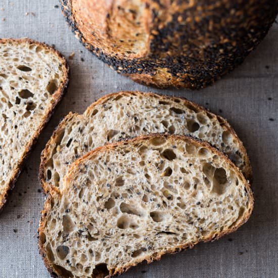 Seeded Sourdough - Recipe photo by the perfect loaf