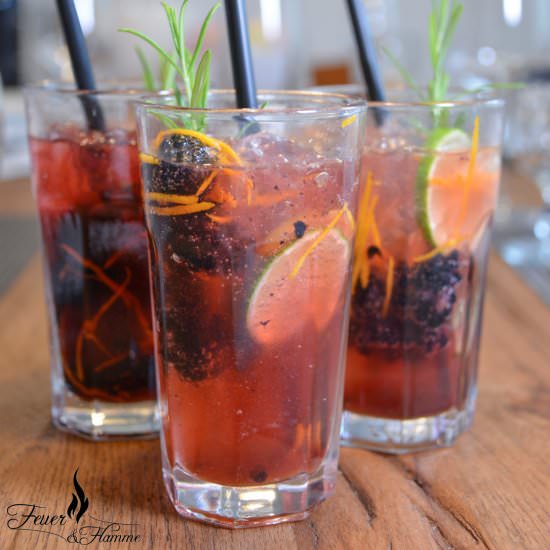 Summer Gin Tonic - Recipe photo by Feuer und Flamme