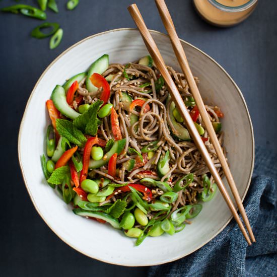 Vegan Sunflower Butter Noodle Bowl - Recipe photo by snixykitchen