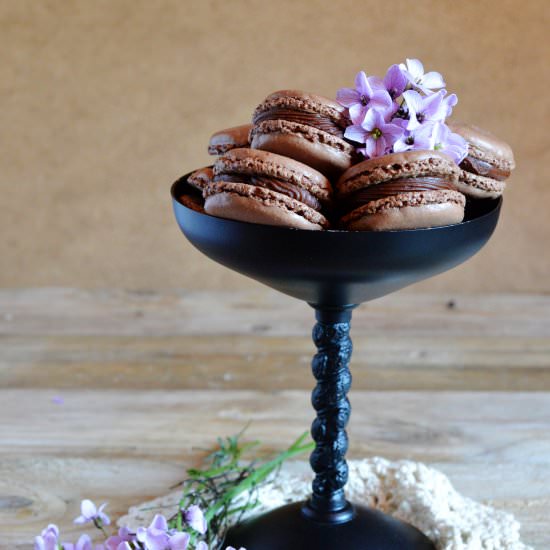 Chocolate Macarons - Recipe photo by EvelynPI