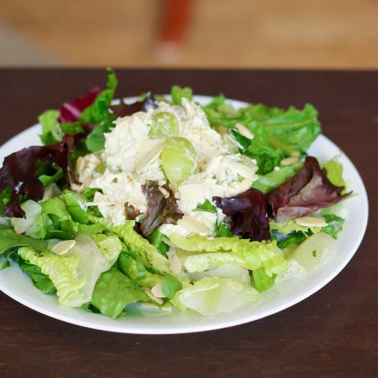 Curried Chicken Salad - Recipe photo by Paulas Plate