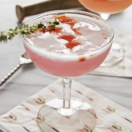 Rhubarb Vodka Cocktail - Recipe photo by thecharmingdetroiter