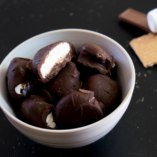 S'mores Ice Cream Bonbons - Recipe photo by A Sweet Little Life