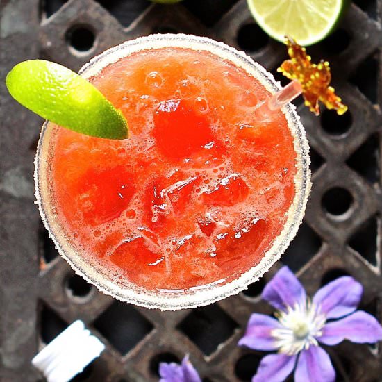 Watermelon-Bacardi Cooler - Recipe photo by glutenfreealchemist