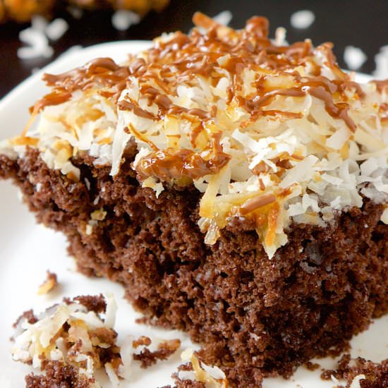 Easy Samoa Sheetcake - Recipe photo by hollyscheatday