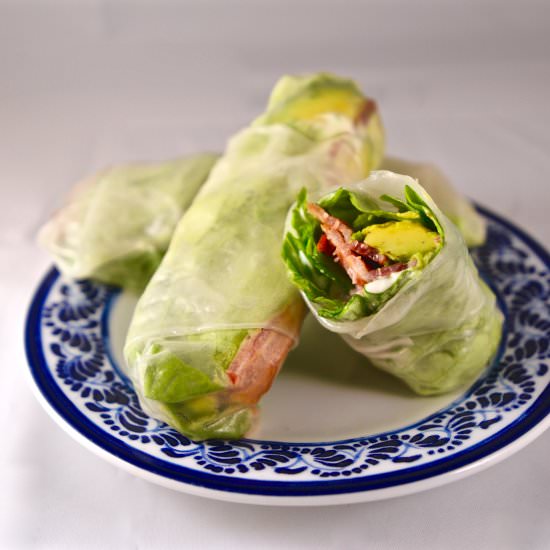 BLTA Spring Rolls - Recipe photo by The Kitchen Flamingo