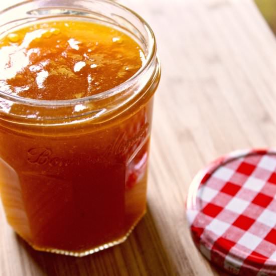Apricot Jam - Recipe photo by the hungry bluebird