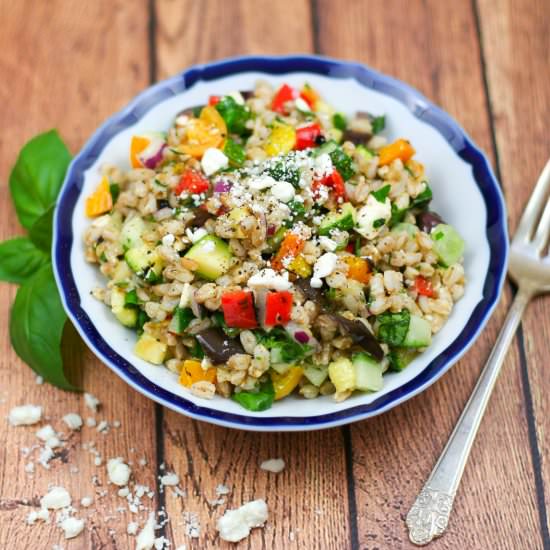 Farro Salad with Summer Vegetables - Recipe photo by ericajulson