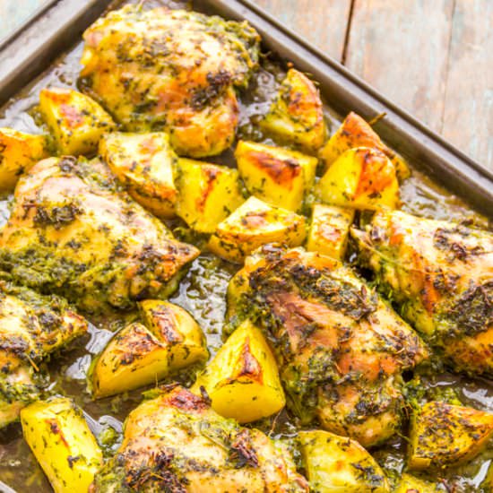 Coriander Chilli Roast Chicken - Recipe photo by Priyanka DK