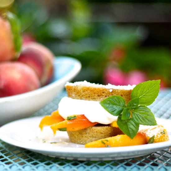 Basil Peach Cornmeal Shortcakes - Recipe photo by the good eats co
