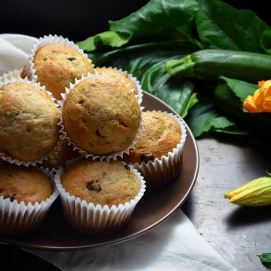 Chocolate Chip Zucchini Muffins - Recipe photo by shelovesbiscotti