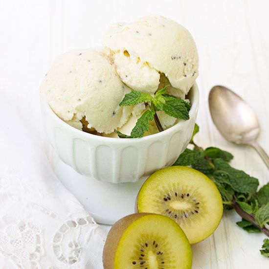 Kiwifruit Ice Cream - Recipe photo by seasonsandsuppers