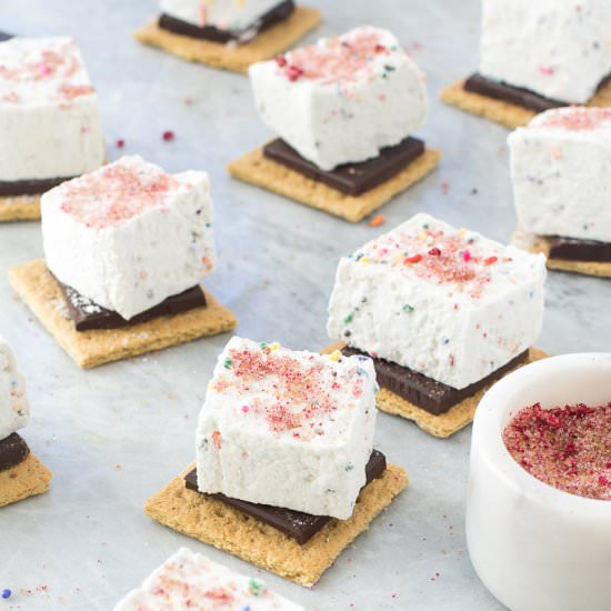 Dairy-Free Funfetti S'mores - Recipe photo by On The DF
