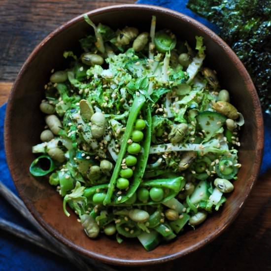 snap pea & nappa cabbage slaw - Recipe photo by drumbeets