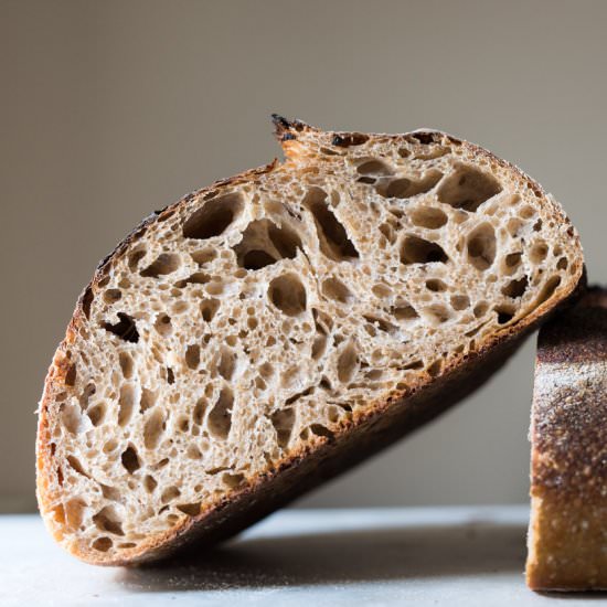 Whole Wheat Sourdough Bread - Recipe photo by the perfect loaf