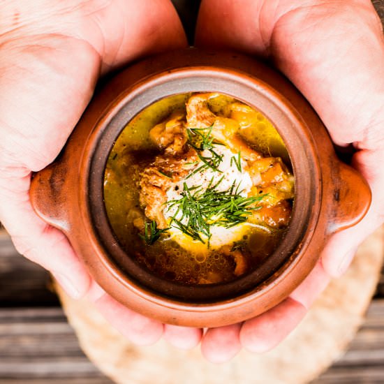 Fox Mushroom Soup - Recipe photo by PantsDownApronsOn