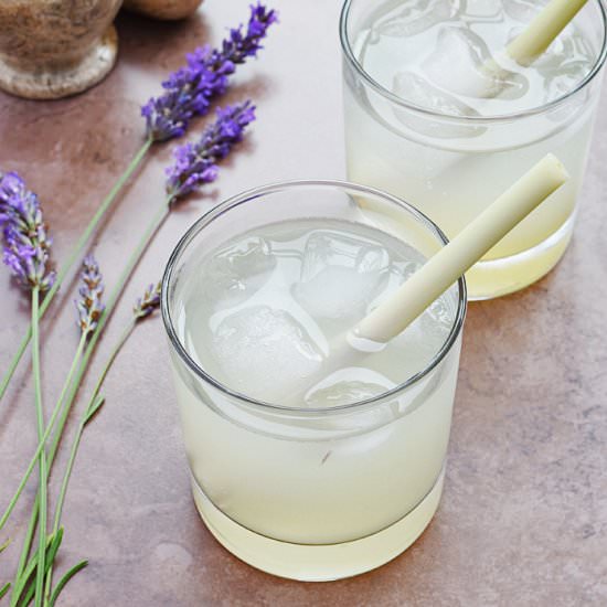 Lavender and Ginger Spritzer - Recipe photo by LinsFood