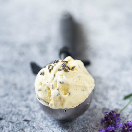 Lavendel Vanilla Ice Cream - Recipe photo by VibrantFoodStories