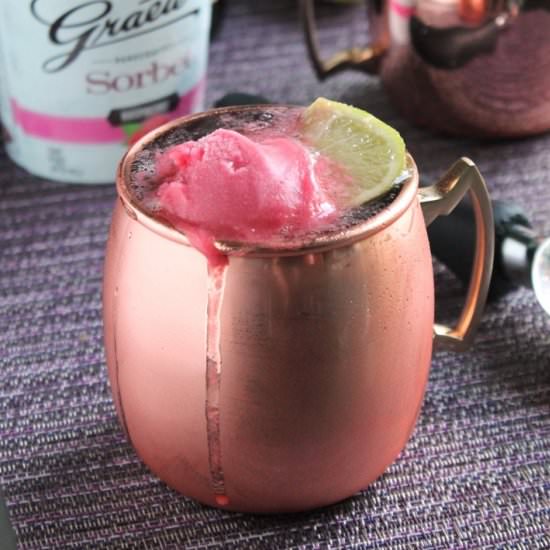 Raspberry Moscow Mule Float - Recipe photo by TheSpiffyCookie