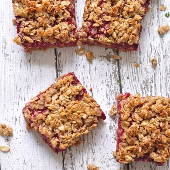 Raspberry Oat Squares - Recipe photo by caseyjadehill