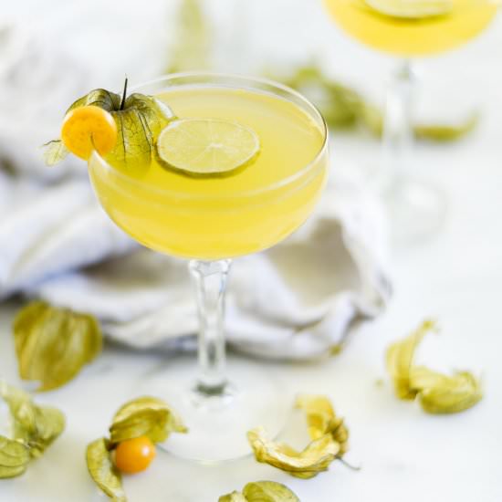 Golden Berry & Gin Cocktail - Recipe photo by BoxwoodAvenue