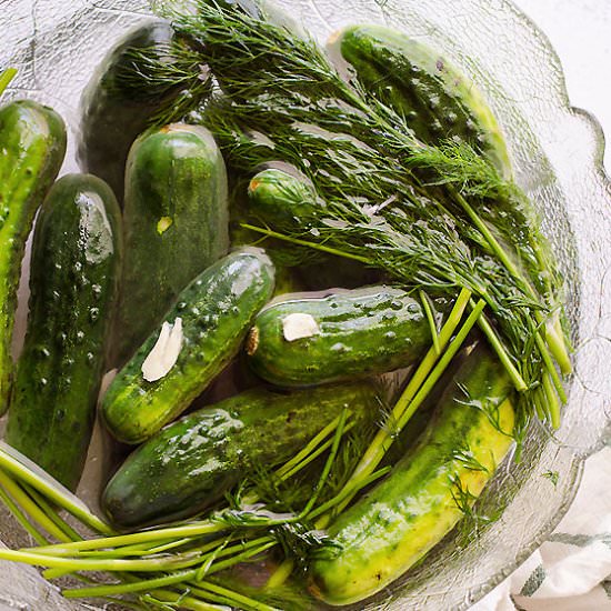 2 Day Ukrainian Garlic Dill Pickles - Recipe photo by ifoodreal