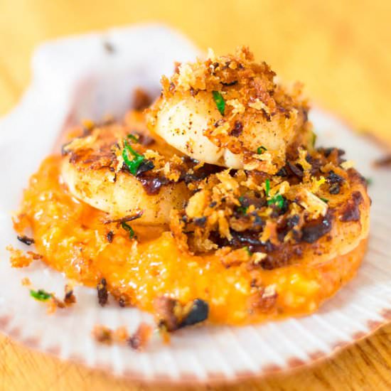 Scallops, Romesco & Herb Crumb - Recipe photo by Words with Food