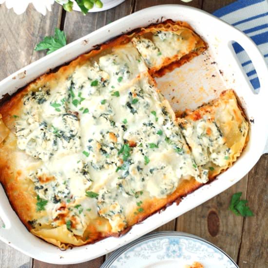 Easy Chicken Lasagna - Recipe photo by foodlovinfamily