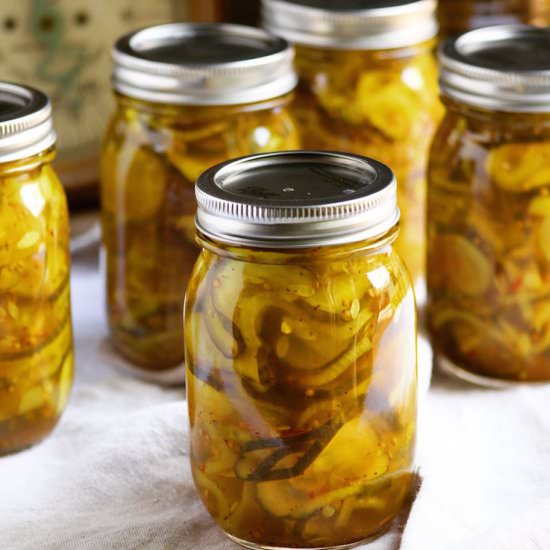 Bread and Butter Pickles - Recipe photo by the hungry bluebird