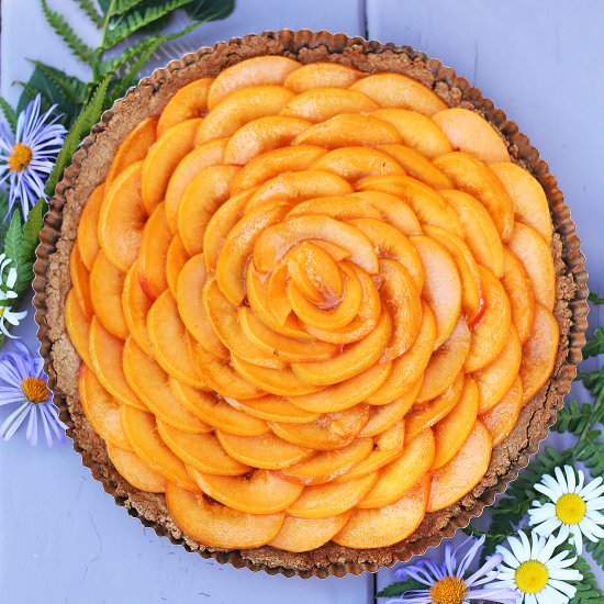 Apricot Tart - Recipe photo by thecollegehousewife