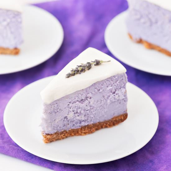 Honey Lavender Cheesecake - Recipe photo by lindsayn8