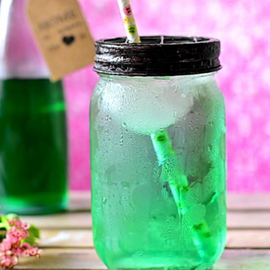 Mint Syrup - Recipe photo by mesinspirationsculinaires