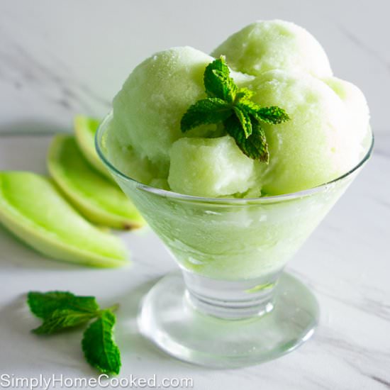 Honeydew Melon Sorbet - Recipe photo by simplyhomecooked