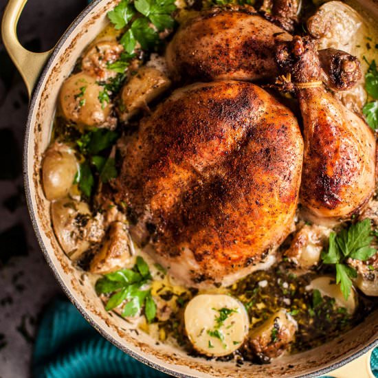 Creamy Herb Pot Roasted Chicken - Recipe photo by saltandlavender