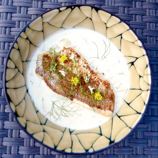 Seared Snapper + Coconut Clam Broth - Recipe photo by The Kitchen Flamingo